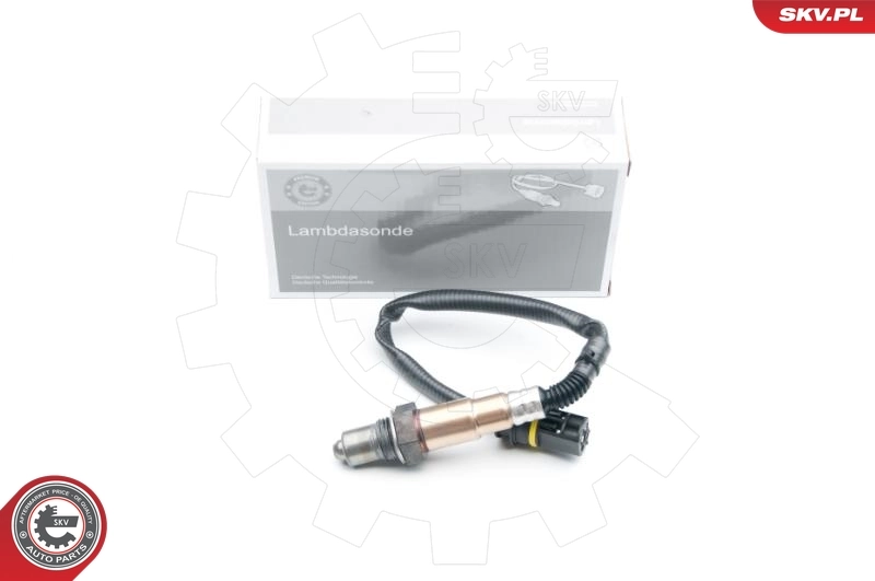 09SKV619 SKV