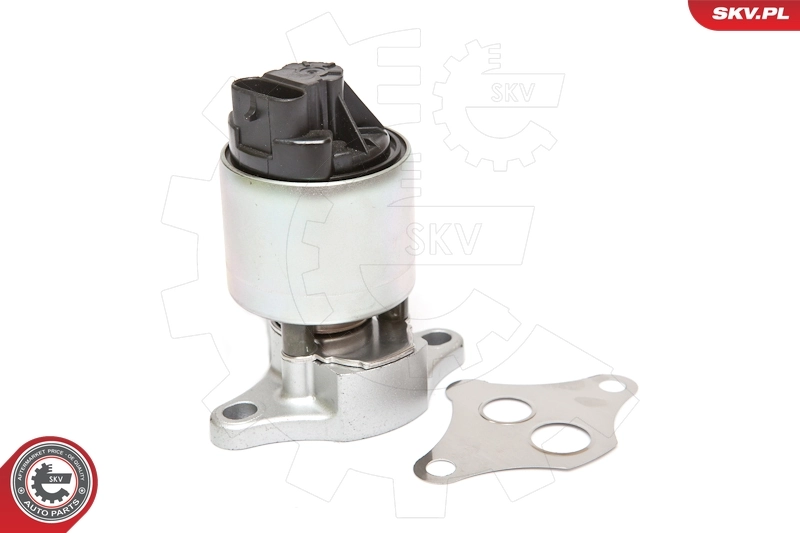 Comprar Válvula EGR Fiat Punto I 176