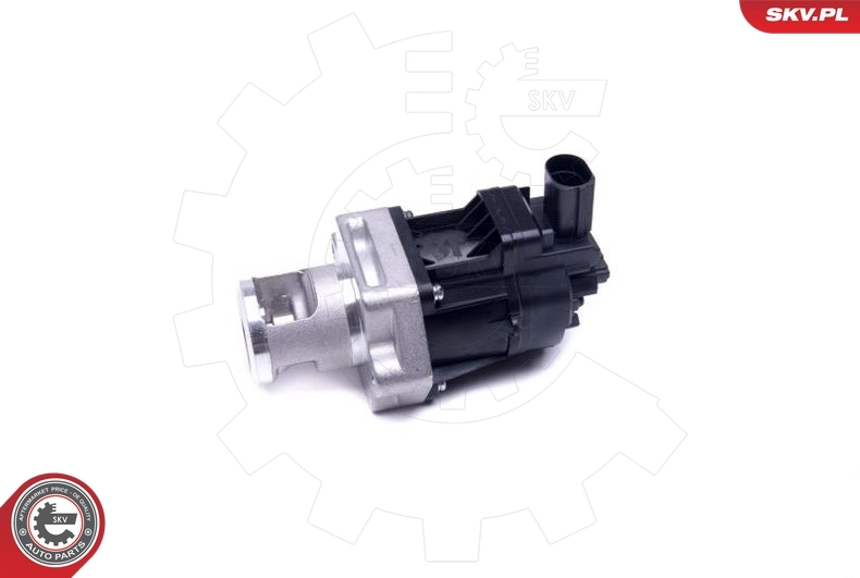 14SKV217 SKV Válvula EGR