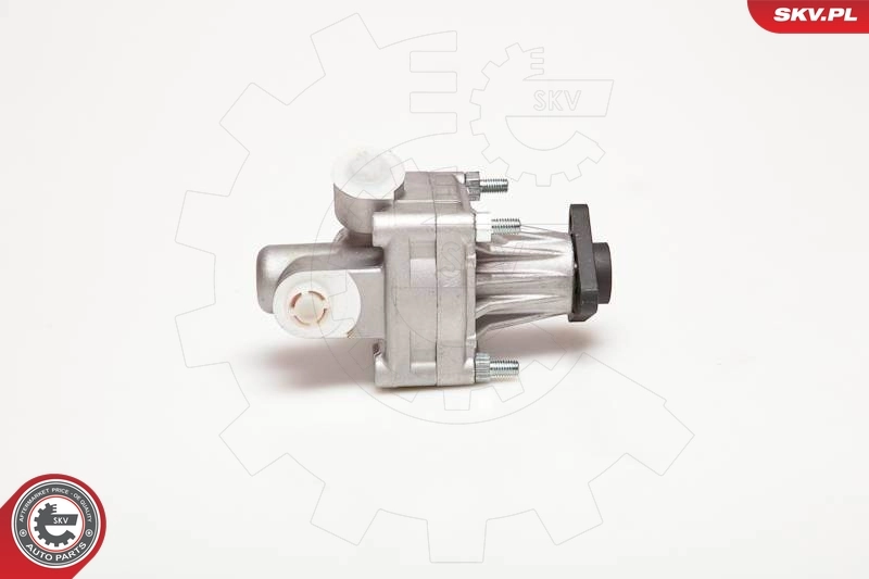 Comprar 10SKV005 SKV Bomba servodireccion