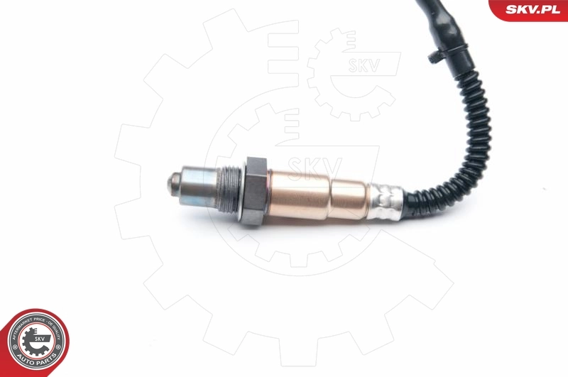09SKV867 SKV