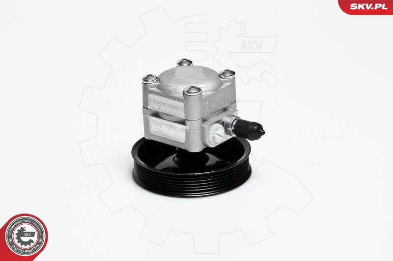 10SKV027 SKV