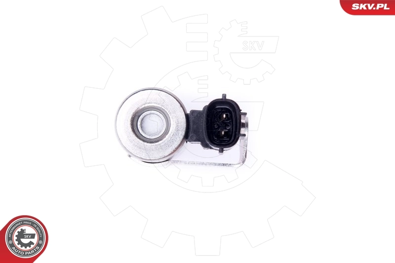 Válvula de control del árbol de levas SKV 39SKV055 precio, desde 26,74 EUR