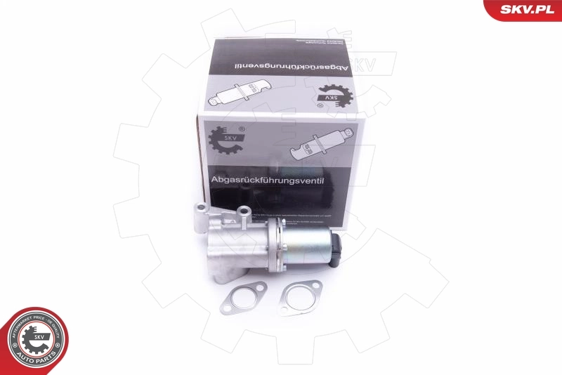 Válvula de regulación de gases Hyundai I30  desde 99,10 €