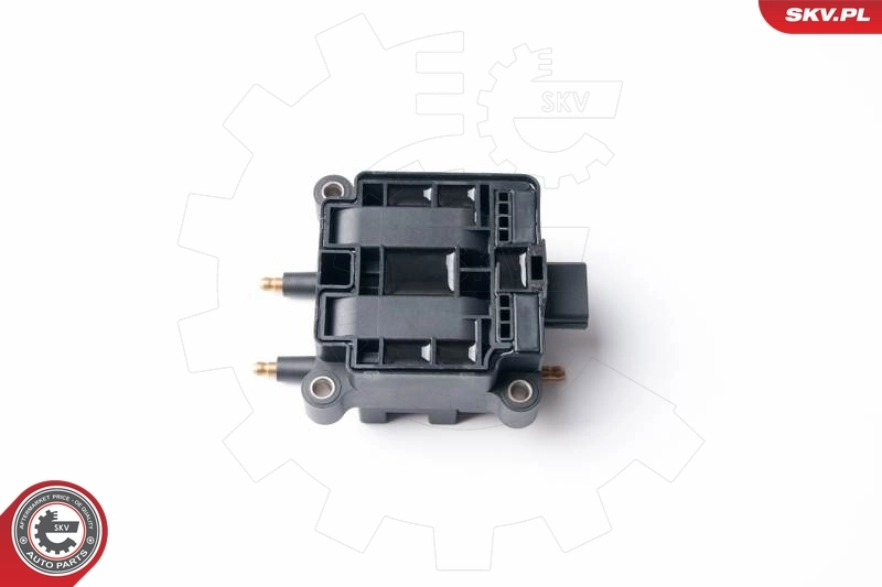 Bobina de chispa SKV 03SKV238 precio, desde 50,19 EUR
