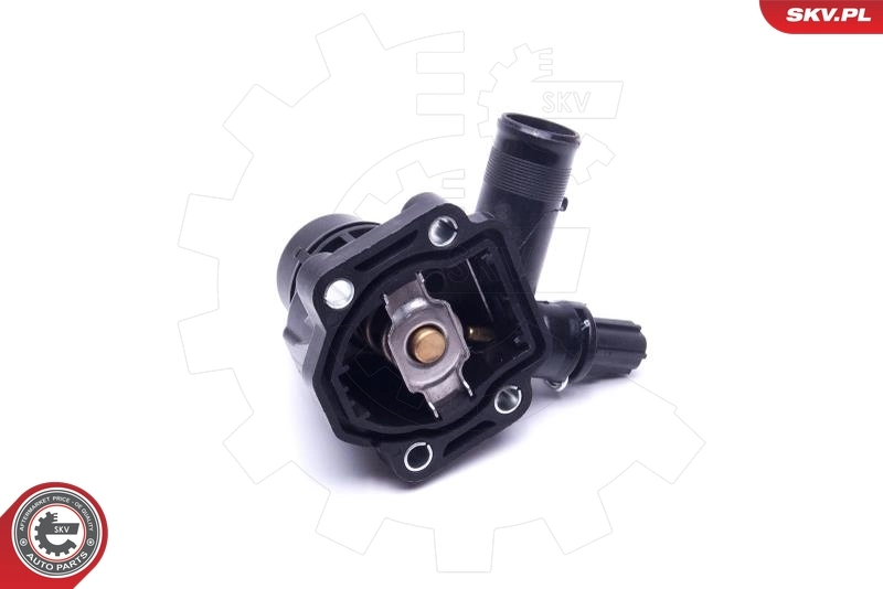 Termostato SKV 20SKV170 precio, desde 31,17 EUR