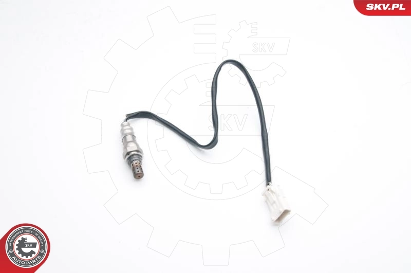 09SKV673 SKV