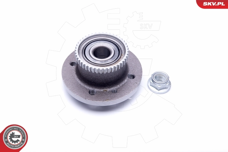 Buje de rueda SKV 29SKV214 precio, desde 54,33 EUR