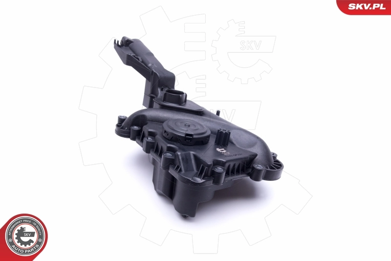 Comprar 31SKV160 SKV Válvula PCV