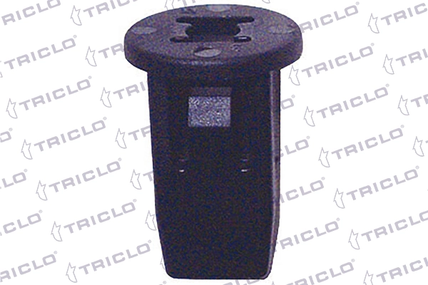 163505 Triclo