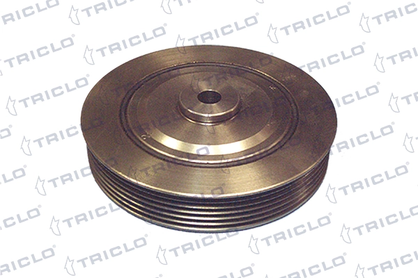 Polea del cigüeñal Renault 21 furgoneta (S48) (1986 - 1994) precio, desde 65,37 USD