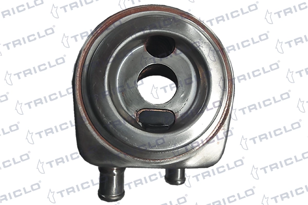 411283 Triclo