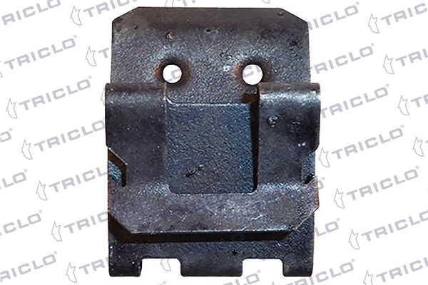 161809 Triclo