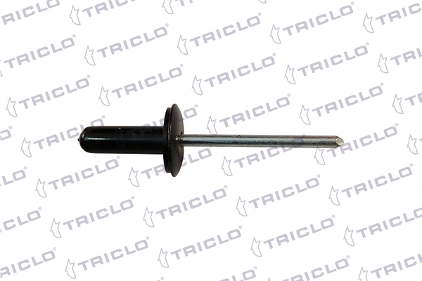 161795 Triclo