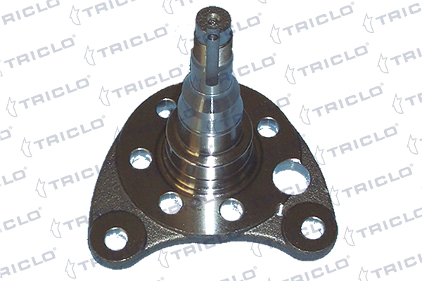 903480 Triclo