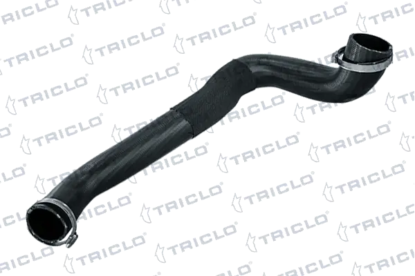 527434 Triclo