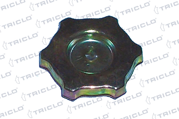 314145 Triclo