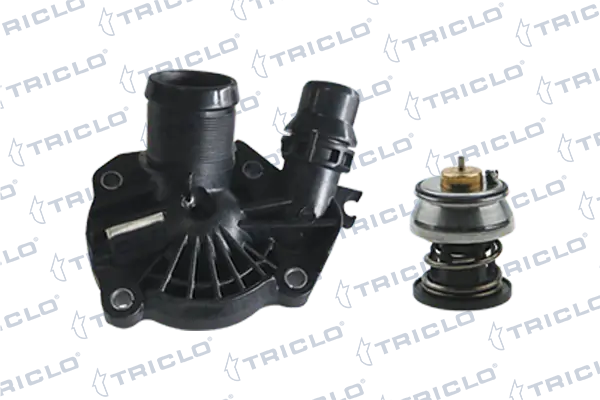 Termostato refrigerante BMW 2  desde 28,80 €