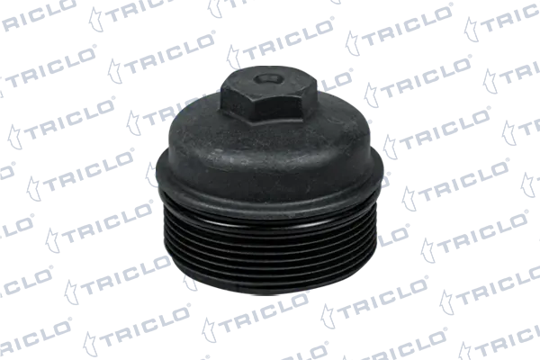 313509 Triclo