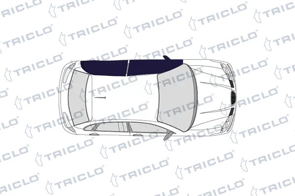 125055 Triclo