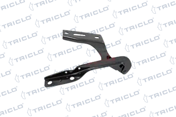 201989 Triclo