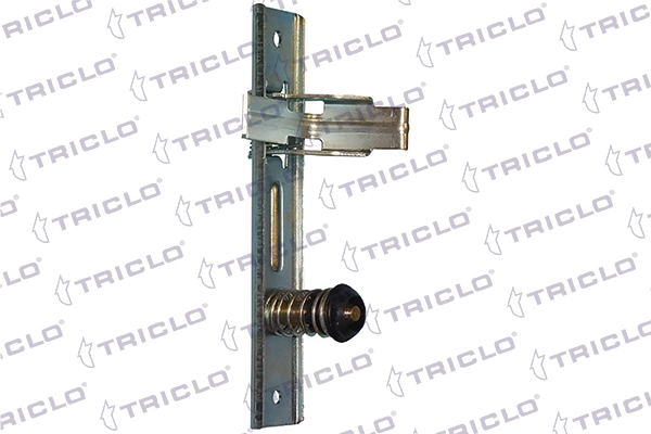 135696 Triclo