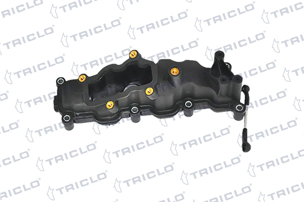 392988 Triclo