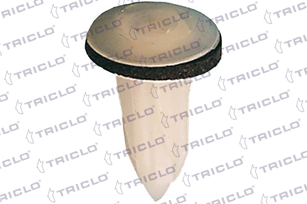 162887 Triclo