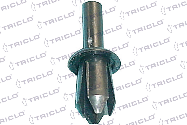 162821 Triclo