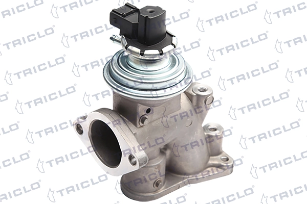EGR Magneti Marelli EV117