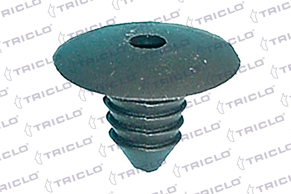 162780 Triclo