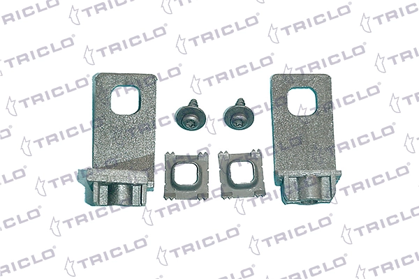 163004 Triclo