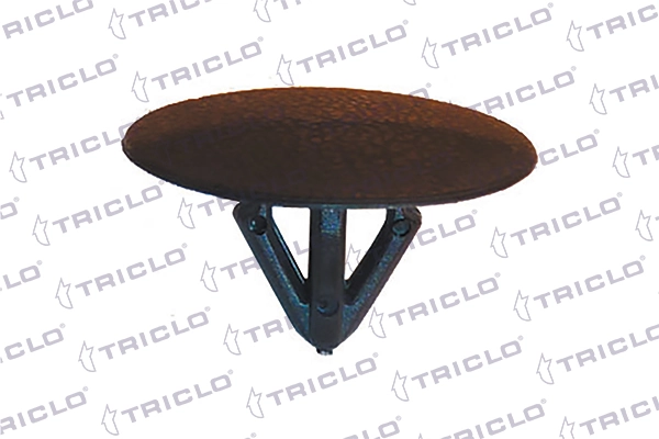 163976 Triclo
