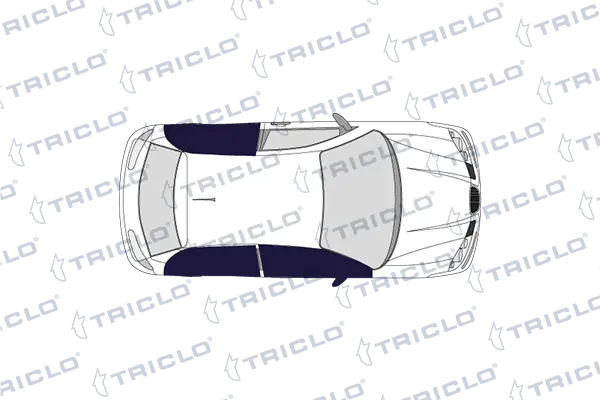 MMS0184 Magneti Marelli Manija exterior izquierda de puerta delantera