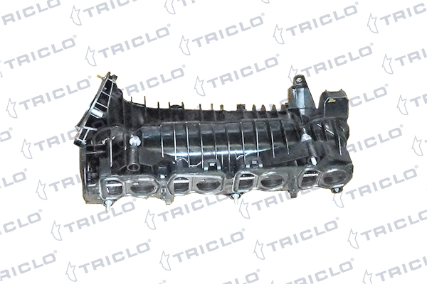 392984 Triclo