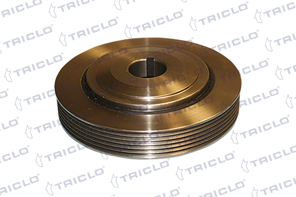  Polea de cigüeñal Peugeot 406 