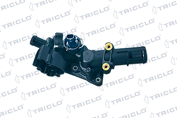 465061 Triclo
