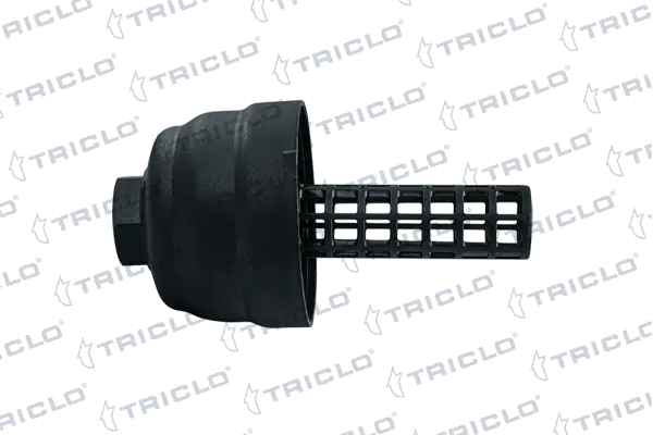 313510 Triclo