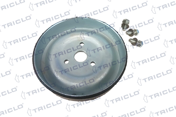  Polea de bomba de agua Peugeot 208 