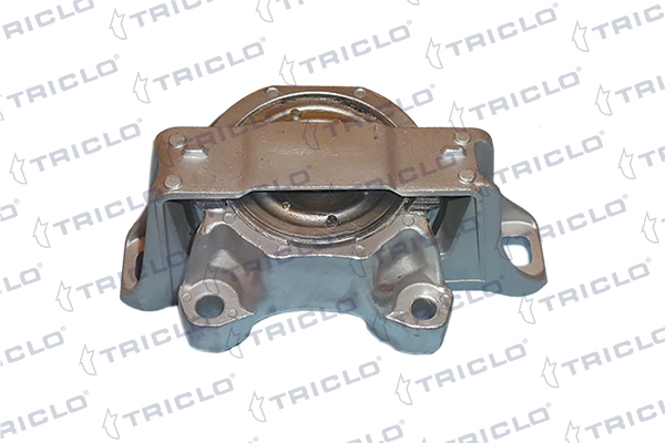 368875 Triclo