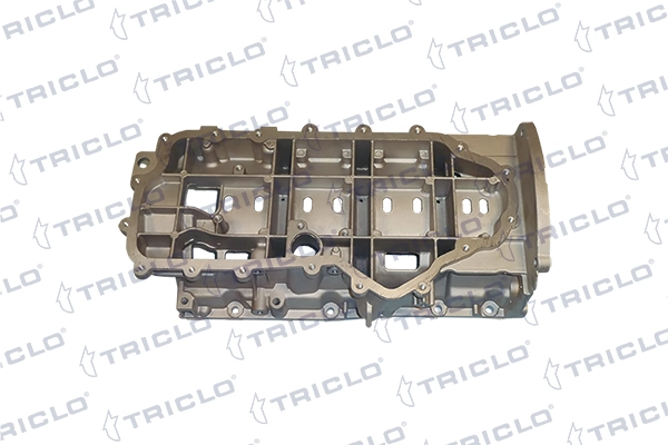408494 Triclo