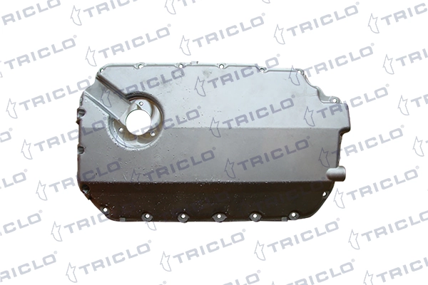 403383 Triclo