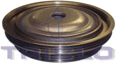 425021 Triclo