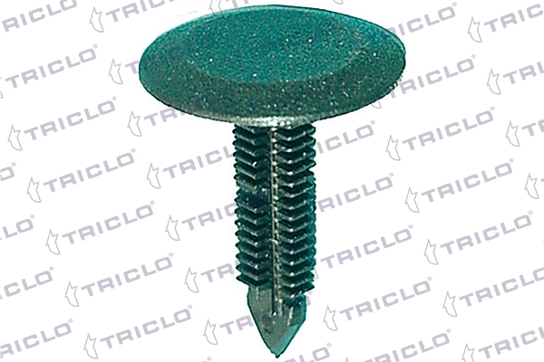162646 Triclo
