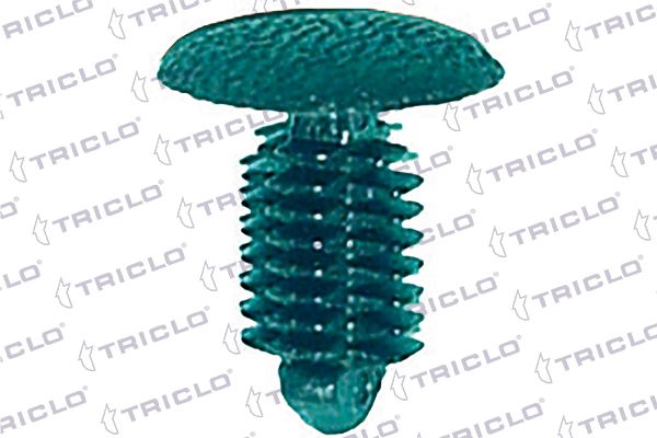 162221 Triclo