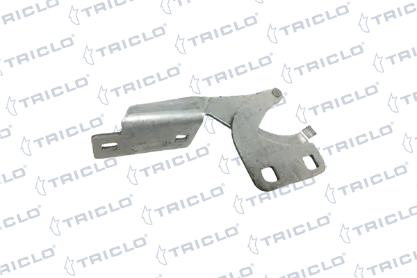201951 Triclo