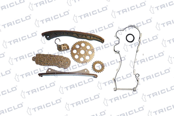 424259 Triclo