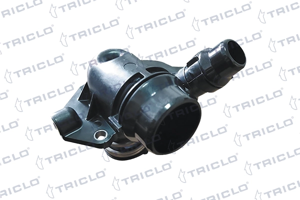 462441 Triclo
