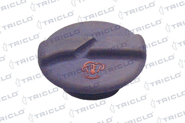 Comprar Tapón depósito de refrigerante Seat Inca  6K9