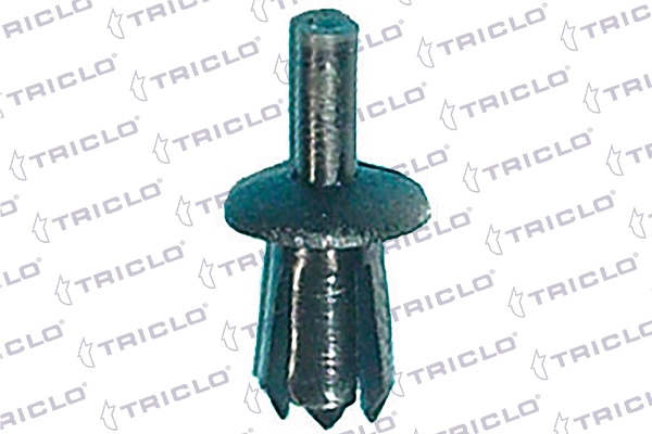 162456 Triclo